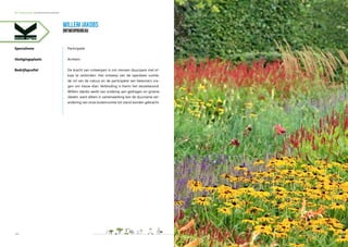 NL Greenlabel Handboek Duurzame Buitenruimte | 75
Ilex crenata ‘Dark Green’
Ilex Concepts v.o.f. is een samenwerking van t...