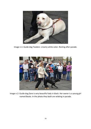 Image n.1: Guide dog Teodors- creamy white color. Resting after parade.
Image n.2: Guide dog Zane is very beautiful lady in black. Her owner is a young girl
named Beate. In the photo they both are wlaking in parade.
79
 