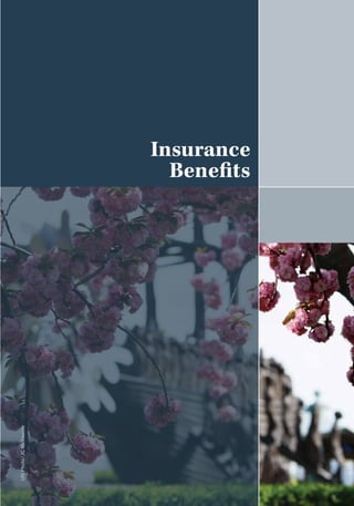 Insurance
Benefits
UNPhoto/JCMcIlwaine
 