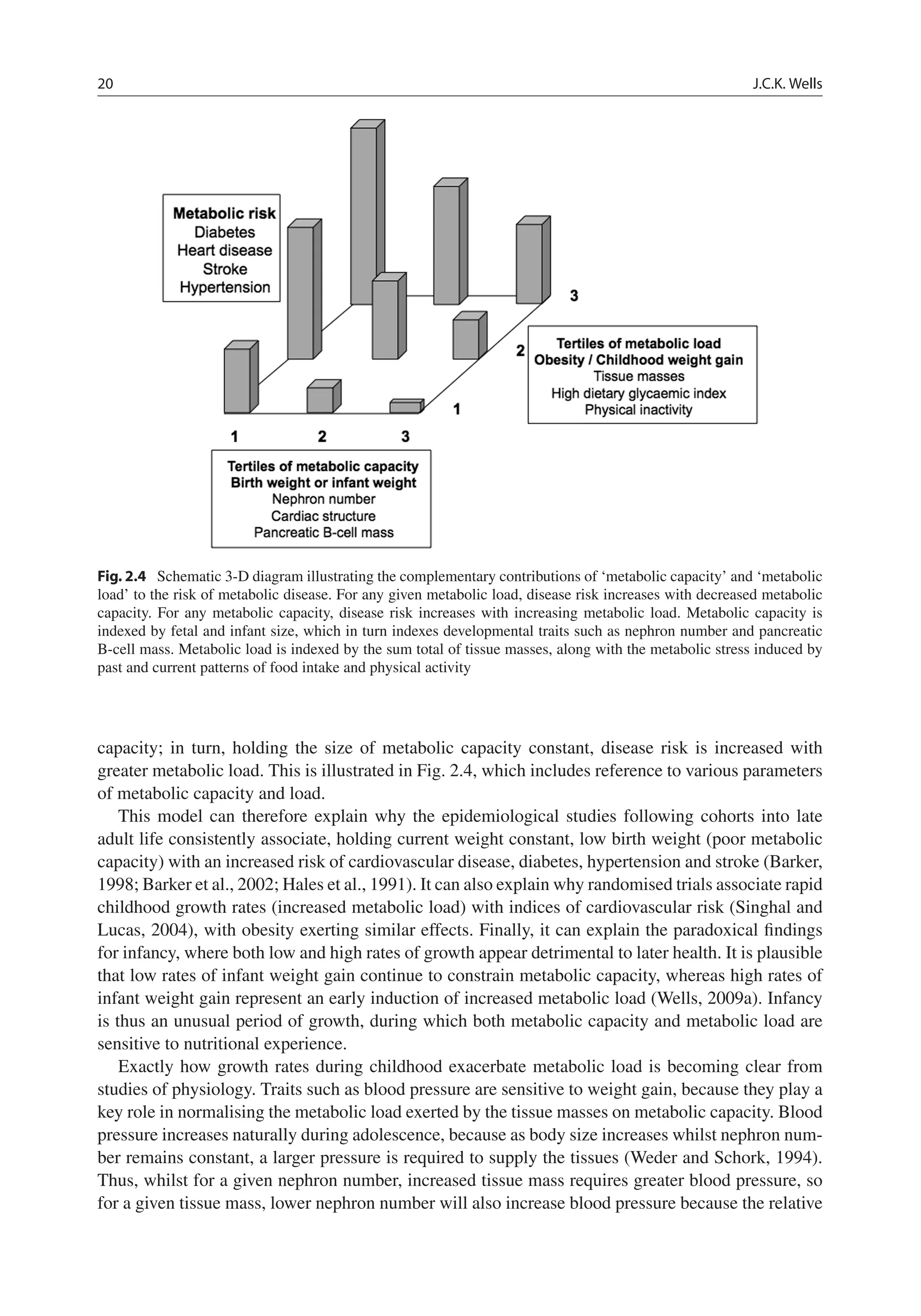 20 J.C.K. Wells
Fig. 2.4 Schematic 3-D diagram illustrating the complementary contributions of ‘metabolic capacity’ and ‘metabolic
load’ to the risk of metabolic disease. For any given metabolic load, disease risk increases with decreased metabolic
capacity. For any metabolic capacity, disease risk increases with increasing metabolic load. Metabolic capacity is
indexed by fetal and infant size, which in turn indexes developmental traits such as nephron number and pancreatic
B-cell mass. Metabolic load is indexed by the sum total of tissue masses, along with the metabolic stress induced by
past and current patterns of food intake and physical activity
capacity; in turn, holding the size of metabolic capacity constant, disease risk is increased with
greater metabolic load. This is illustrated in Fig. 2.4, which includes reference to various parameters
of metabolic capacity and load.
This model can therefore explain why the epidemiological studies following cohorts into late
adult life consistently associate, holding current weight constant, low birth weight (poor metabolic
capacity) with an increased risk of cardiovascular disease, diabetes, hypertension and stroke (Barker,
1998; Barker et al., 2002; Hales et al., 1991). It can also explain why randomised trials associate rapid
childhood growth rates (increased metabolic load) with indices of cardiovascular risk (Singhal and
Lucas, 2004), with obesity exerting similar effects. Finally, it can explain the paradoxical ﬁndings
for infancy, where both low and high rates of growth appear detrimental to later health. It is plausible
that low rates of infant weight gain continue to constrain metabolic capacity, whereas high rates of
infant weight gain represent an early induction of increased metabolic load (Wells, 2009a). Infancy
is thus an unusual period of growth, during which both metabolic capacity and metabolic load are
sensitive to nutritional experience.
Exactly how growth rates during childhood exacerbate metabolic load is becoming clear from
studies of physiology. Traits such as blood pressure are sensitive to weight gain, because they play a
key role in normalising the metabolic load exerted by the tissue masses on metabolic capacity. Blood
pressure increases naturally during adolescence, because as body size increases whilst nephron num-
ber remains constant, a larger pressure is required to supply the tissues (Weder and Schork, 1994).
Thus, whilst for a given nephron number, increased tissue mass requires greater blood pressure, so
for a given tissue mass, lower nephron number will also increase blood pressure because the relative
 
