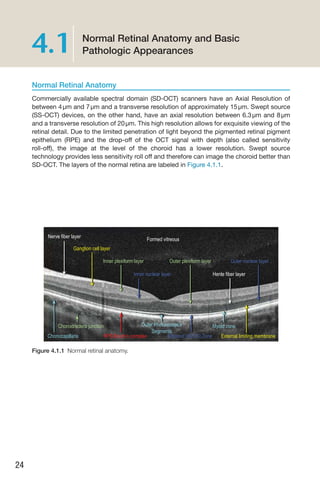Retina Layers Oct Worksheet.pdf Handbook of Retinal OCT Second Edition.. | PDF