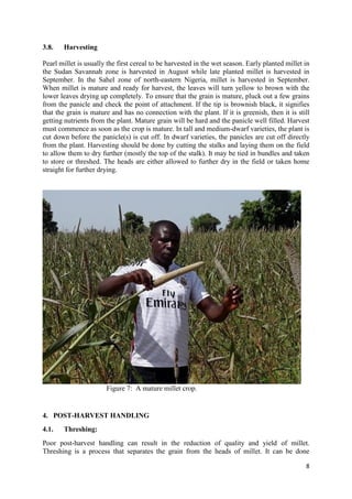 Handbook on improved pearl millet production practices in North Eastern Nigeria- Feed the Future Nigeria Integrated Agriculture Activity.