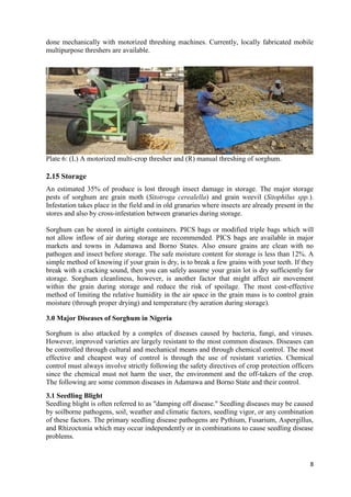 Handbook on improved agronomic practices for sorghum production in North East Nigeria - Feed the Future Nigeria Integrated Agriculture Activity.