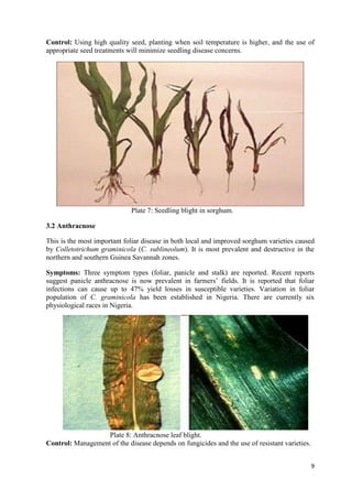 Handbook on improved agronomic practices for sorghum production in North East Nigeria - Feed the Future Nigeria Integrated Agriculture Activity.