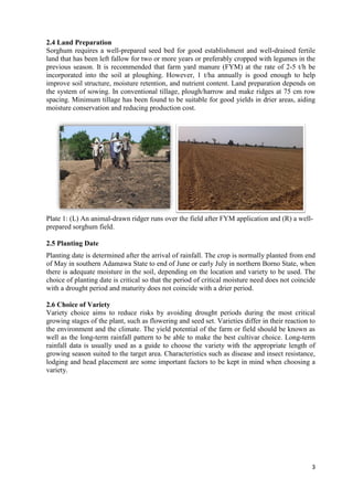 Handbook on improved agronomic practices for sorghum production in North East Nigeria - Feed the Future Nigeria Integrated Agriculture Activity.