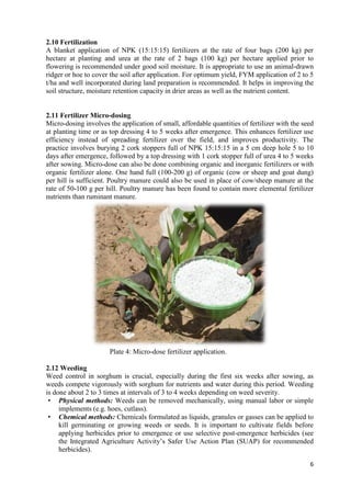 Handbook on improved agronomic practices for sorghum production in North East Nigeria - Feed the Future Nigeria Integrated Agriculture Activity.