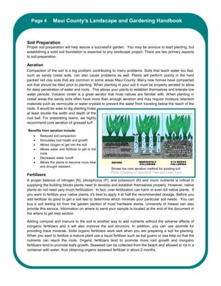 Page 4Maui County’s Landscape and Gardening Handbook
          Maui County’s Landscape and Gardening Handbook



Soil Preparation
Proper soil preparation will help assure a successful garden. You may be anxious to start planting, but
establishing a solid soil foundation is essential to any landscape project. There are two primary aspects
to soil preparation.

Aeration
Compaction of the soil is a big problem contributing to many problems. Soils that leach water too fast,
such as sandy costal soils, can also cause problems as well. Plants will perform poorly in the hard
packed red clay soils that are common in some areas Maui County. Many new homes have compacted
soil that should be tilled prior to planting. When planting in your soil it must be properly aerated to allow
for deep penetration of water and roots. This allows your plants to establish themselves and tolerate low
water periods. Volcanic cinder is a great aerator that most natives are familiar with. When planting in
costal areas the sandy soils often have more than enough aeration and may require moisture retention
materials such as vermiculite or water crystals to prevent the water from traveling below the reach of the
roots. It would be wise to dig planting holes
at least double the width and depth of the
root ball. For preexisting lawns, we highly
recommend core aeration of grassed turf.

Benefits from aeration include:
    •   Reduced soil compaction
    •   Stimulates root health and growth
    •   Allows oxygen to get into the soil
    •   Allows water and fertilizer to get to the
        roots
    •   Decreases water runoff
    •   Allows the plants to become more heat
        and drought resistant
                                                       Shows the core aeration method for existing turf.
                                                       Photo Courtesy of Schulhoff Tree and Lawn Care
Fertilizers
A proper balance of nitrogen (N), phosphorus (P), and potassium (K) and micro nutrients is critical in
supplying the building blocks plants need to develop and establish themselves properly. However, native
plants do not need very much fertilization. In fact, over-fertilization can harm or even kill native plants. If
you want to fertilize your native plants, it's best to apply it at half the recommended dosage. Before you
add fertilizer its good to get a soil test to determine which minerals your particular soil needs. You can
buy a soil testing kit from the garden section of most hardware stores. University of Hawaii can also
provide this service. Information on where to send your sample is located at the end of the document in
the where to get help section.

Adding compost and manure to the soil is another way to add nutrients without the adverse affects of
inorganic fertilizers and it will also improve the soil structure. In addition, you can use azomite for
providing trace minerals. Solid organic fertilizers work well when you are preparing a soil for planting.
When you want to fertilize a mature plant use a liquid fertilizer such as bat guano or sea kelp so that the
nutrients can reach the roots. Organic fertilizers tend to promote more root growth and inorganic
fertilizers tend to promote leafy growth. Seaweed can be collected from the beach and allowed to rot in a
container with water, thus obtaining organic seaweed fertilizer in about 2 months.
 