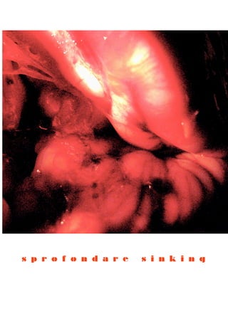 s p r o f o n d a r e   s i n k i n g
 