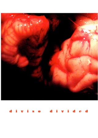 d   i   v   i   s   o   d   i   v   i   d   e   d
 