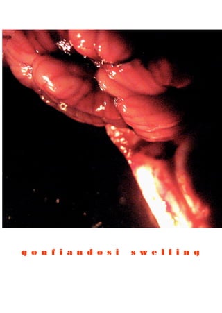 g o n f i a n d o s i   s w e l l i n g
 