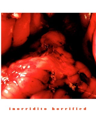 i n o r r i d i t o   h o r r i f i e d
 