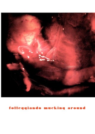 folleggiando mucking around
 