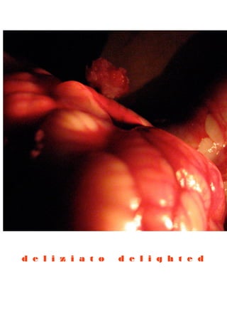 d e l i z i a t o   d e l i g h t e d
 