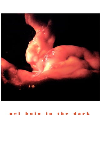 n e l   b u i o   i n   t h e   d a r k
 