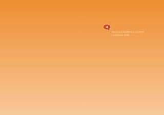 Service Excellence Cockpit
Leitfaden 2016
4
 