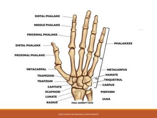HAND COMPLEX BY SANJAIDAS, PHYSIOTHERAPIST
 