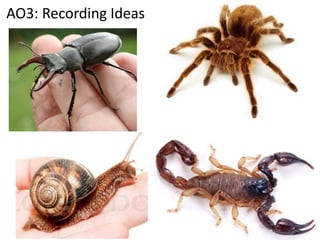 AO3: Recording Ideas