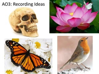 AO3: Recording Ideas