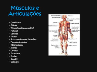 Músculos e Articulações- Quadríceps- Glúteos- Tríceps Sural (panturrilha)- Peitoral- Deltóide- Tríceps- Rotadores internos de ombro- Flexores de punho- Tibial anterior- Joelhos- Ombros- Tornozelos- Punho- Quadril- Cotovelos