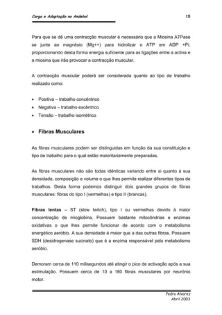 Carga e Adaptação no Andebol 15
Pedro Alvarez
Abril 2003
Para que se dê uma contracção muscular é necessário que a Miosina ATPase
se junte ao magnésio (Mg++) para hidrolizar o ATP em ADP +Pi,
proporcionando desta forma energia suficiente para as ligações entre a actina e
a miosina que irão provocar a contracção muscular.
A contracção muscular poderá ser considerada quanto ao tipo de trabalho
realizado como:
 Positiva – trabalho concêntrico
 Negativa – trabalho excêntrico
 Tensão – trabalho isométrico
 Fibras Musculares
As fibras musculares podem ser distinguidas em função da sua constituição e
tipo de trabalho para o qual estão maioritariamente preparadas.
As fibras musculares não são todas idênticas variando entre si quanto à sua
densidade, composição e volume o que lhes permite realizar diferentes tipos de
trabalhos. Desta forma podemos distinguir dois grandes grupos de fibras
musculares: fibras do tipo I (vermelhas) e tipo II (brancas).
Fibras lentas – ST (slow twitch), tipo I ou vermelhas devido à maior
concentração de mioglobina. Possuem bastante mitocôndrias e enzimas
oxidativas o que lhes permite funcionar de acordo com o metabolismo
energético aeróbio. A sua densidade é maior que a das outras fibras. Possuem
SDH (desidrogenase sucinato) que é a enzima responsável pelo metabolismo
aeróbio.
Demoram cerca de 110 milisegundos até atingir o pico de activação após a sua
estimulação. Possuem cerca de 10 a 180 fibras musculares por neurónio
motor.
 
