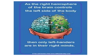 Handedness Example Handedness | PPTX
