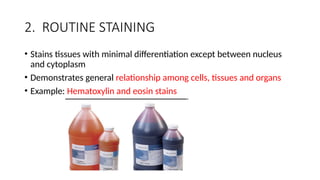 Routine Staining hematoxylin and eosin stain complete.pptx