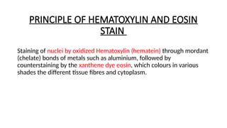 Counterstaining hematoxylin and eosin stain complete.pptx
