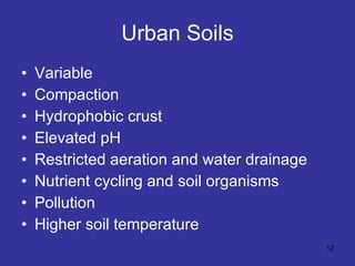 Urban Soils Variable Compaction Hydrophobic crust Elevated pH Restricted aeration and water drainage Nutrient cycling and soil organisms Pollution Higher soil temperature 
