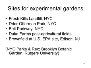 Sites for experimental gardens Fresh Kills Landfill, NYC Drier-Offerman Park, NYC Belt Parkway, NYC Duke Farms post-agricultural fields Brownfield at U.S. EPA site, Edison, NJ (NYC Parks & Rec; Brooklyn Botanic Garden; Rutgers University) 