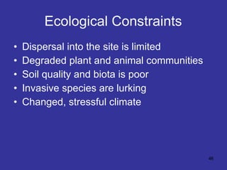 Ecological Constraints Dispersal into the site is limited  Degraded plant and animal communities Soil quality and biota is poor Invasive species are lurking Changed, stressful climate 