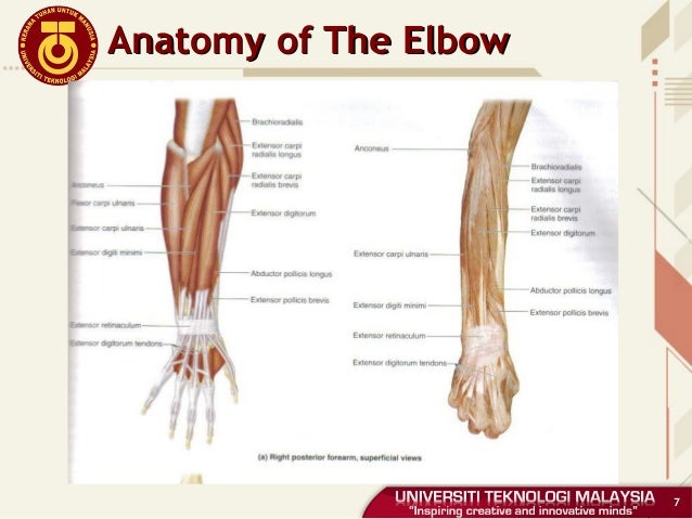 Hand & elbow injuries