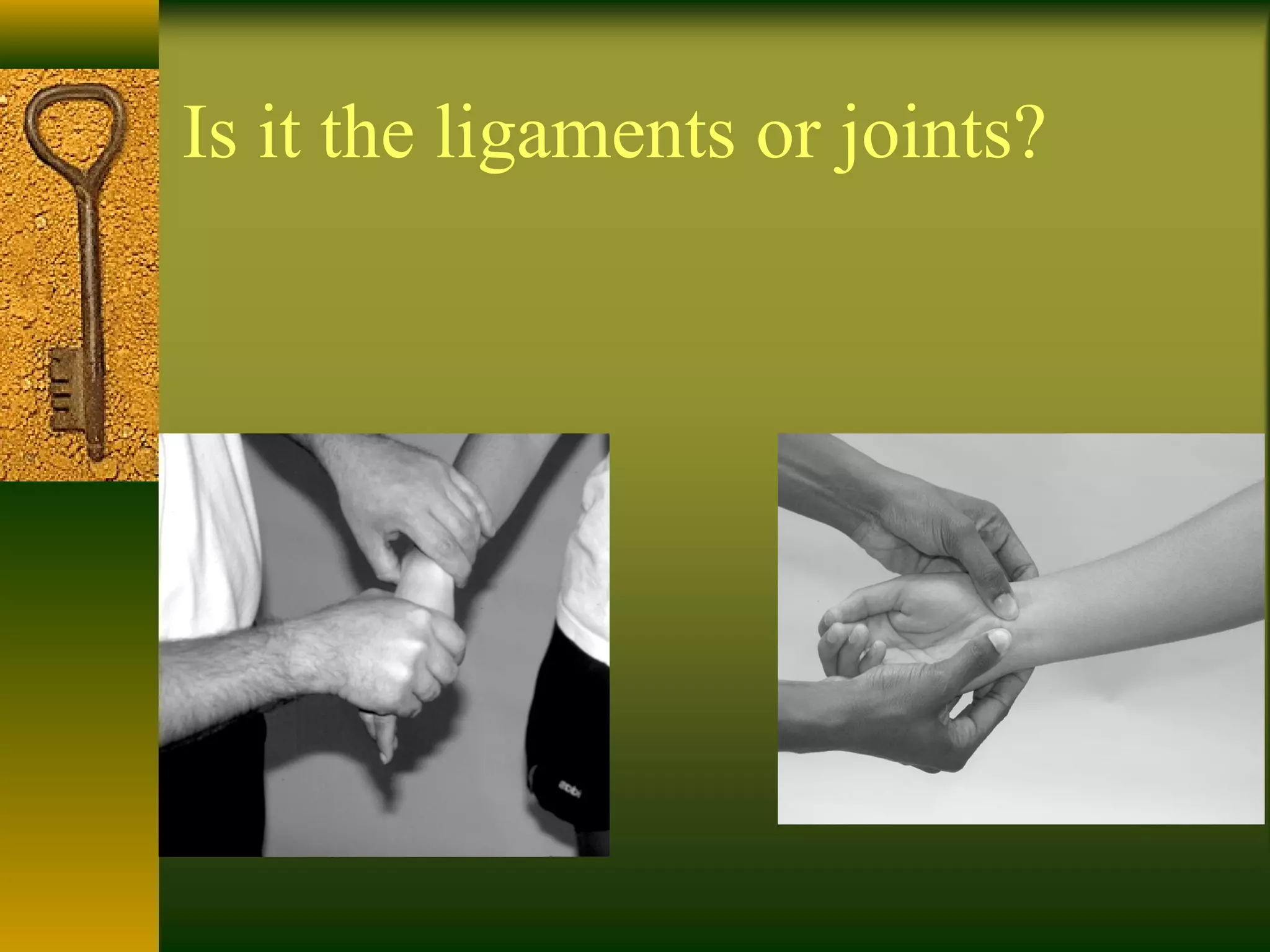Is it the ligaments or joints?
 