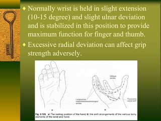 ♦ Normally wrist is held in slight extension
(10-15 degree) and slight ulnar deviation
and is stabilized in this position to provide
maximum function for finger and thumb.
♦ Excessive radial deviation can affect grip
strength adversely.
 