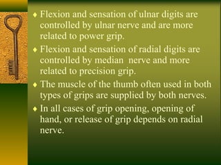 ♦ Flexion and sensation of ulnar digits are
controlled by ulnar nerve and are more
related to power grip.
♦ Flexion and sensation of radial digits are
controlled by median nerve and more
related to precision grip.
♦ The muscle of the thumb often used in both
types of grips are supplied by both nerves.
♦ In all cases of grip opening, opening of
hand, or release of grip depends on radial
nerve.
 