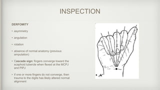 HAND EXAM .pptx