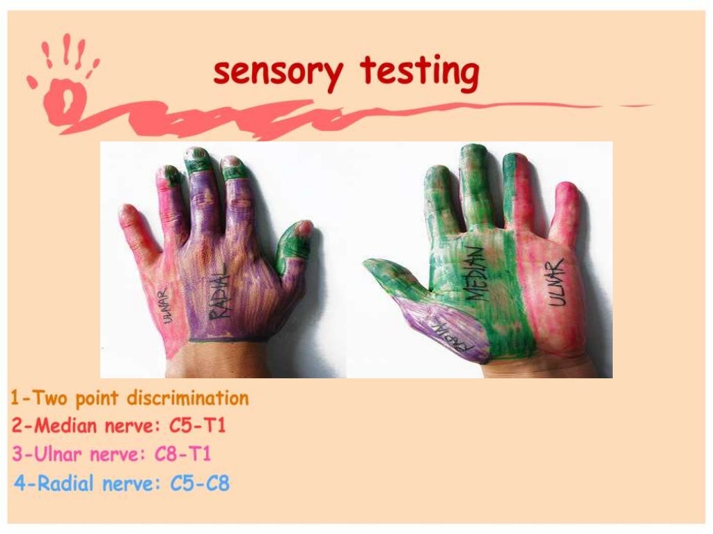Hand and wrist examination