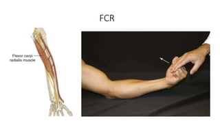 Hand examination.pptx