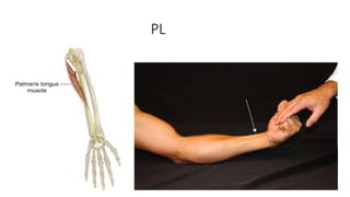 Hand Examination Example Hand examination.pptx