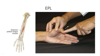 Hand examination.pptx