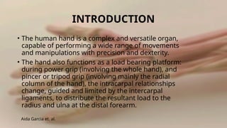 Comprehensive Anatomy of the Human Hand: Bones, Joints, Muscles, and ...