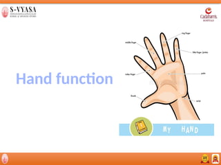 Comprehensive Overview of Hand Anatomy, Function, Assessment, and ...