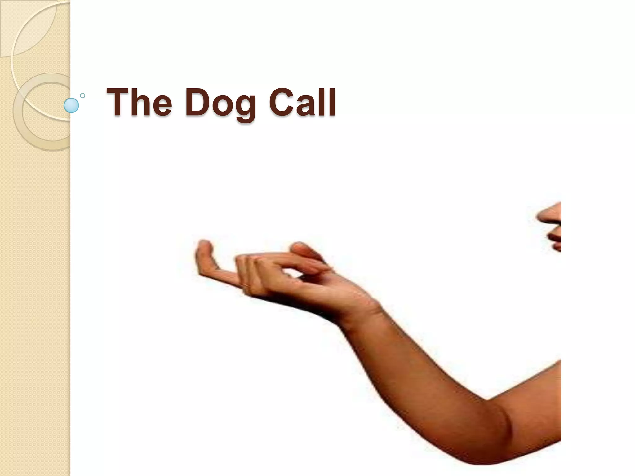 The Dog Call
 