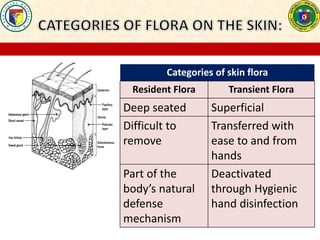 Categories of skin flora
Resident Flora Transient Flora
Deep seated Superficial
Difficult to
remove
Transferred with
ease to and from
hands
Part of the
body’s natural
defense
mechanism
Deactivated
through Hygienic
hand disinfection
 
