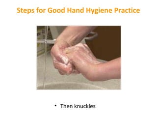 Steps for Good Hand Hygiene Practice

• Then knuckles

 