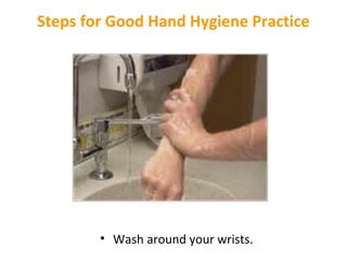 Steps for Good Hand Hygiene Practice

• Wash around your wrists.

 