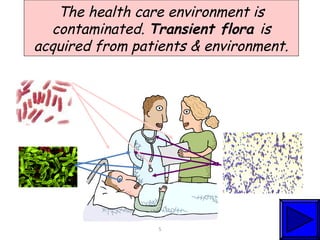 The health care environment is
contaminated. Transient flora is
acquired from patients & environment.

5

 