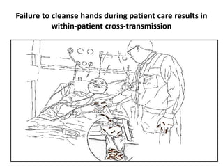 Failure to cleanse hands during patient care results in
within-patient cross-transmission
Friday, April 21, 2023 Hand Hygiene 12
 