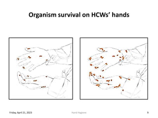 Organism survival on HCWs’ hands
Friday, April 21, 2023 Hand Hygiene 9
 