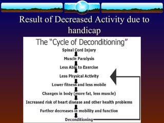 Handicap care | PPT