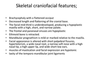 Skeletal craniofacial features;
• Brachycephaly with a flattened occiput
• Decreased length and flattening of the cranial base.
• The facial mid-third is underdeveloped, producing a hypoplastic
maxilla with a high, short, and narrow palate.
• The frontal and paranasal sinuses are hypoplastic
• Ethmoid bone is retracted.
• Mandibular prognathism is mild or marked relative to the maxilla.
• Facial appearance is altered with short palpebral fissures,
hypertelorism, a wide nasal root, a narrow soft nose with a high
nasal tip, a high upper lip, and wide short low ears.
• muscles of mastication and facial expression are hypotonic
• laxity of the temporo mandibular joint ligaments
 